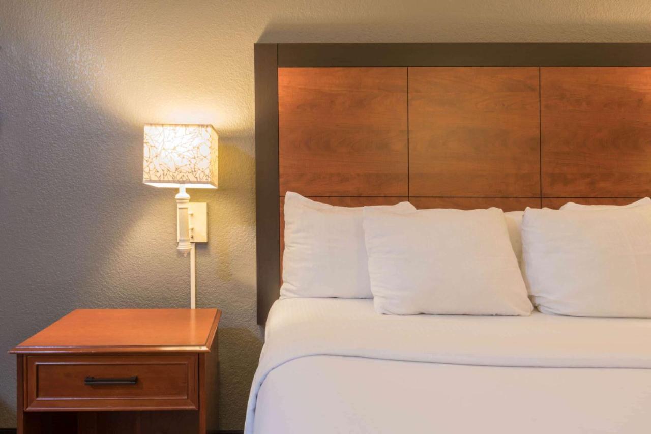 La Quinta Inn & Suites By Wyndham San Antonio Riverwalk מראה חיצוני תמונה